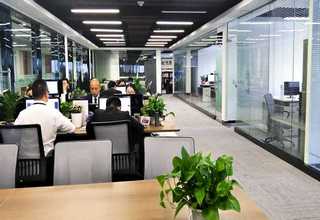 杭州喜干植物租赁业务