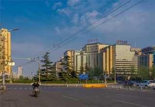 浙江菊花茶工厂