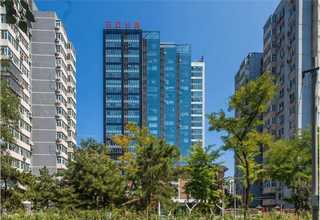 摇蚊莱茵海默氏菌菌种