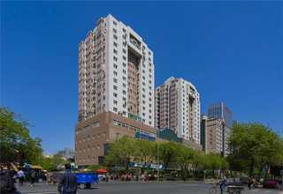 山东CBN齿轮泵价格